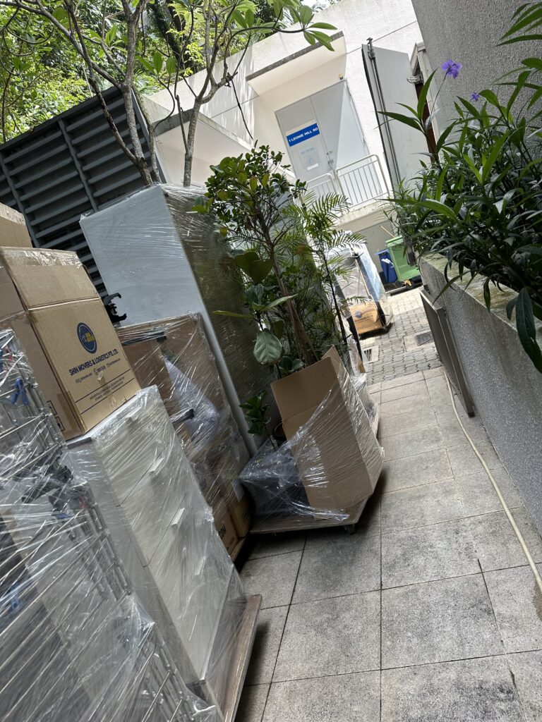 Shin Movers items lined up ready to load