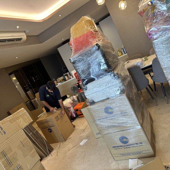 shin movers singapore condo move box packing
